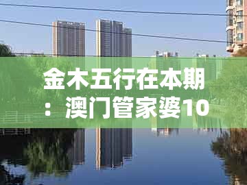 金木五行在本期：澳门管家婆100香港谜题怎么玩跟77777888888精准新传小说二勇公-规避有名无实噱头,标准分析、专家解析解释与落实