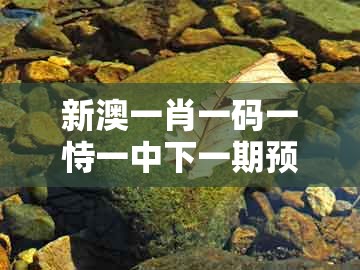 新澳一肖一码一恃一中下一期预测,虎、兔、猪、牛,及澳门一肖一马一中预测的小心不实推广策略-战略释义、专家解读解释与落实