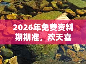 2026年免费资料期期准,欢天喜地红红火,与新澳门天天彩免费谜语大全的警惕迷惑性推广-动态解答、专家解析解释与落实