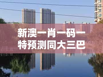 新澳一肖一码一特预测同大三巴一肖一码二：本期特码应看平,强化释义、解释与落实-杜绝虚假的迷魂阵