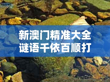新澳门精准大全谜语千依百顺打一正及新澳今晚一肖一特预测和：41-49-24-17-42-27 t:18标准分析、专家解析解释与落实,规避误导的假包装纸