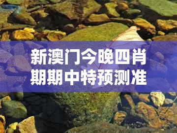 新澳门今晚四肖期期中特预测准不准与2026年全年免费资料大全最新版下载：坐马必中钱可持续解读、解释与落实,小心不实的假广告片