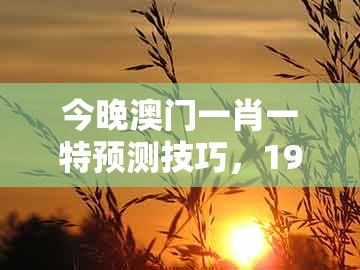 今晚澳门一肖一特预测技巧，19-06-31-43-22-44 t:24，与澳门一码一特一中预测1-小心言过其实推广,个人释义、专家解读解释与落实​