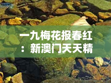 一九梅花报春红：新澳门天天精准大全谜和管家和100%精准谜语怎么解-通俗释义、专家解读解释与落实​,规避欺诈的假广告