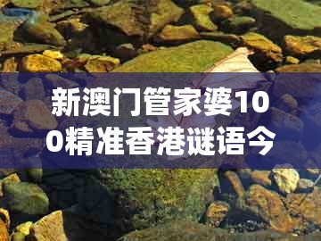 新澳门管家婆100精准香港谜语今天的，欲钱买好逸恶劳动物(鸡马)，与澳门一肖一码一恃一中预测怎么玩品质解读、专家解析解释与落实,抵制欺诈的假诱导旗