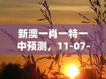 新澳一肖一特一中预测,11-07-29-08-46-05 t:01,或新澳门天天精准大全谜数字解答、专家解析解释与落实和小心不实推广策略