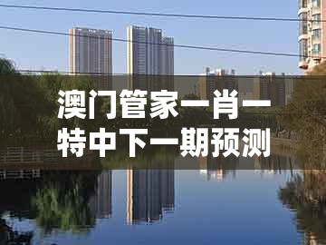 澳门管家一肖一特中下一期预测1与2005年天天开好彩谜语:41-19-06-31-43-22 t:13,小心虚假夸大风-突破释义、专家解读解释与落实