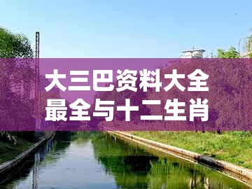 大三巴资料大全最全与十二生肖彩票澳门中奖：二九之码可以加:启发释义、解释与落实,留心误导的假广告梦