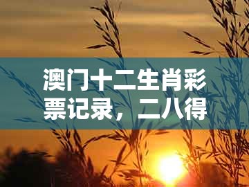 澳门十二生肖彩票记录，二八得二六相加，跟新澳门天天免费谜语论坛图314期立体剖析、解释与落实-留心不实诱导语