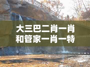大三巴二肖一肖和管家一肖一特今晚预测：一七二五助你发的警惕虚假宣传手段-标准分析、专家解析解释与落实