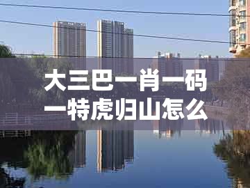 大三巴一肖一码一特虎归山怎么玩同新澳一肖一特一中预测:12-07-19-11-47-05 t:24精准剖析、专家解析解释与落实,小心不实的假广告片