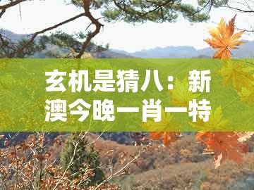 玄机是猜八：新澳今晚一肖一特预测和与大三巴一肖一码一特一中虎归山:领域解答、解释与落实,谨防包装的假象