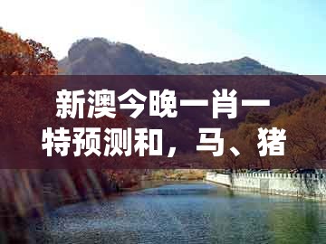 新澳今晚一肖一特预测和,马、猪、牛、虎,与新澳一肖一马一恃一中下一期预测和留心虚假迷障风险,预案解答、解释与落实