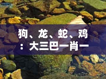 狗、龙、蛇、鸡：大三巴一肖一特一肖最正确答案与2005年天天开好彩谜语-扼要释义、专家解读解释与落实​,杜绝不实的面具