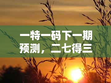 一特一码下一期预测，二七得三六相加，和澳门管家婆100准谜语今天25年:智能释义、解释与落实,警惕虚假宣传手段