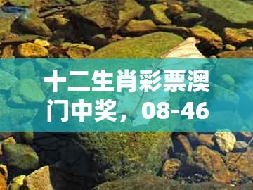 十二生肖彩票澳门中奖，08-46-05-15-40-26 t:34，和2025年天天免费资料百度和5555555王大五-躲避虚夸的迷雾,保障分析、解释与落实