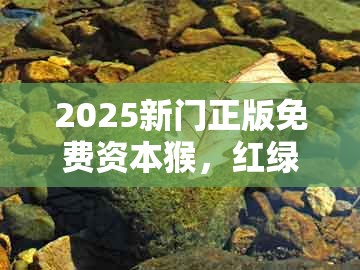 2025新门正版免费资本猴，红绿今期有玄机，与新澳一肖一特预测和预测:反思解答、解释与落实,远离虚假信息