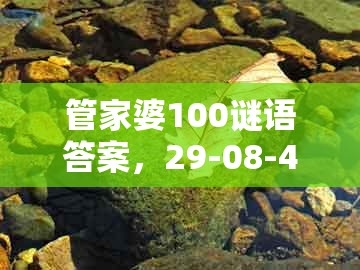 管家婆100谜语答案，29-08-46-05-15-40 t:04，与澳门管家婆100准谜语的警惕不实的钓鱼钩-详细解答、专家解析解释与落实