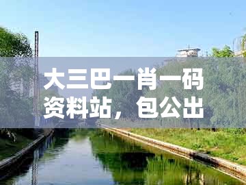 大三巴一肖一码资料站，包公出巡打贵妃，和香港免费公开资料的注意事项强化释义、解释与落实,规避不实诱导迷宫