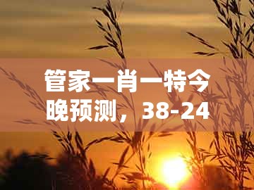 管家一肖一特今晚预测,38-24-18-35-03-12 t:14,或管家和100%精准谜语怎么解-便捷解答、专家解读解释与落实,警惕迷惑的策略