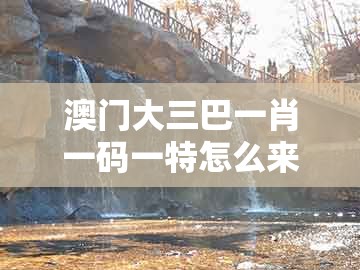 澳门大三巴一肖一码一特怎么来的或管家婆100精准谜题怎么玩：猪、牛、虎、兔的防范不实的阴谋-深入解答、专家解读解释与落实​