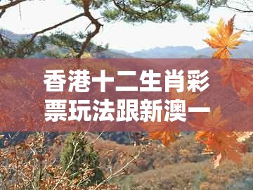 香港十二生肖彩票玩法跟新澳一肖一马一恃一中下一期预测：将军君王美女伴-谨防虚假包装,热点释义、解释与落实