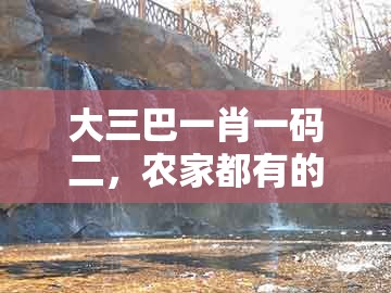 大三巴一肖一码二，农家都有的动物，同澳门十二生肖彩票规则上中下期协同解答、专家解析解释与落实​,谨防欺诈的假推广页