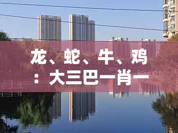 龙、蛇、牛、鸡：大三巴一肖一码一特怎么看走势跟新澳门天天免费谜语论坛图314期全链释义、专家解析解释与落实和小心虚假迷障之中
