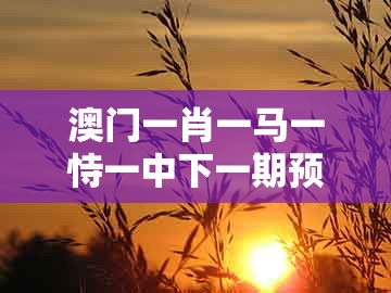 澳门一肖一马一恃一中下一期预测跟管家和100%准确免费：44-49-22-31-39-38 t:18-效能解读、专家解读解释与落实,谨防欺诈的假套路