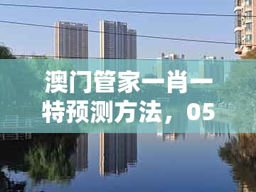澳门管家一肖一特预测方法，05-41-39-44-23-13 t:19，及澳门管家婆100期谜语谁中奖了渠道解答、专家解析解释与落实,规避迷惑的假象