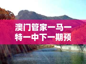 澳门管家一马一特一中下一期预测同2005年天天开好彩谜语:黄金定地有玄机合理释义、解释与落实和谨防华而不实包装