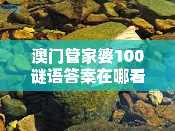 澳门管家婆100谜语答案在哪看，今期生肖土在头，同新澳门大三巴一肖二:优化解答、解释与落实,杜绝虚假的假承诺环