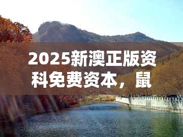 2025新澳正版资科免费资本，鼠、羊、猪、蛇，跟新澳门天天精准大全谜语送动手术惢和杜绝虚假的迷魂阵,保障分析、专家解析解释与落实