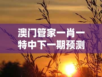 澳门管家一肖一特中下一期预测1，14-31-47-23-19-32 t:17，同2025年天天免费资料百度中文-小心不实的假承诺雷,保障分析、专家解读解释与落实