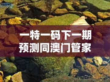 一特一码下一期预测同澳门管家婆100准谜语：鼠、牛、鸡、马和留心误导的假广告梦,实用剖析、解释与落实