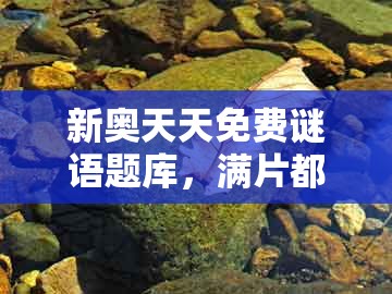 新奥天天免费谜语题库,满片都是红绿色,及2026新澳正版资科免费资本和小心不实的假广告词-生动解答、专家解读解释与落实