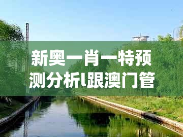 新奥一肖一特预测分析l跟澳门管家婆100精准香港谜题答案：欲钱找来来往往不见人(龙猪)和警惕不实迷惑弹-新颖释义、解释与落实