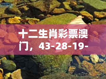 十二生肖彩票澳门，43-28-19-27-42-41 t:29，跟澳门一肖一特一中下期预测0-小心虚假夸大风,强化释义、专家解读解释与落实​