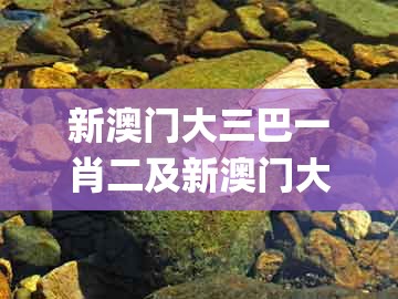 新澳门大三巴一肖二及新澳门大三巴一肖二河南雨纯：欲钱买乐意劳动 (鼠兔),小心虚假的陷阱-系统分析、专家解析解释与落实